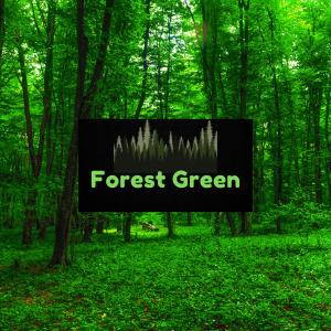 收聽Forest Green的Lullaby of the Forest歌詞歌曲