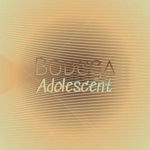 อัลบัม Bodega Adolescent ศิลปิน Various Artists