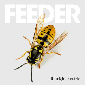 ดาวน์โหลดและฟังเพลง Paperweight พร้อมเนื้อเพลงจาก Feeder