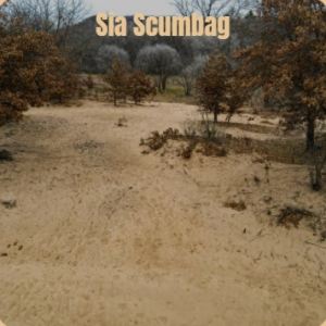 收聽Rham Keha的Sia Scumbag歌詞歌曲