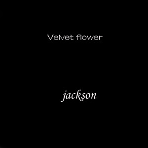 收听Jackson的Velvet Flower歌词歌曲