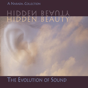 ดาวน์โหลดและฟังเพลง Heartsounds พร้อมเนื้อเพลงจาก David Lanz
