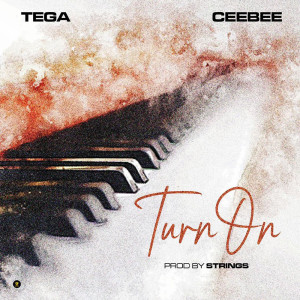 Listen to Turn On song with lyrics from Tega