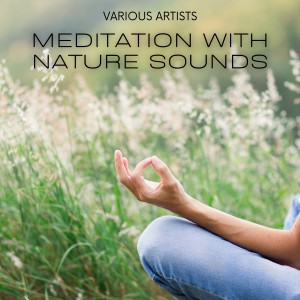 Album Meditation with Nature Sounds from Various