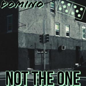 Domino（歐美）的專輯Not The One (Explicit)