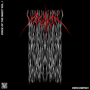 Various的专辑Voice Of The Night Vol. 1