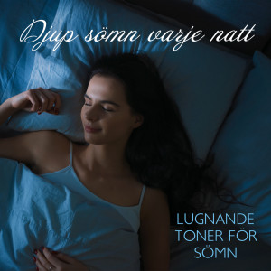 Dengarkan lagu Himmelens väg nyanyian Avkopplingszon dengan lirik