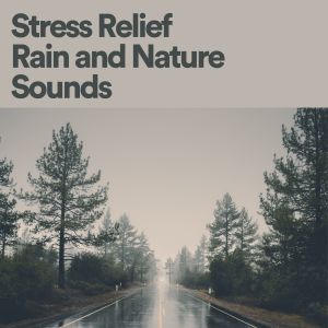 Rain Sounds的專輯Stress Relief Rain and Nature Sounds