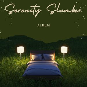 Album Serenity Slumber from ELIO FLUTE