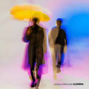 Cannella的专辑Illumina