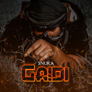 Listen to Gaidi song with lyrics from Snura