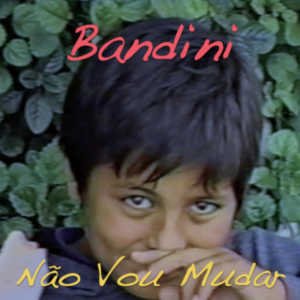 Não Vou Mudar