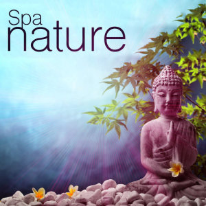 收聽Spa Nature的Water Changes歌詞歌曲