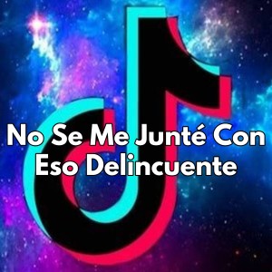 收聽TikTok Viral的No Se Me Junté Con Eso Delincuente (Explicit)歌詞歌曲