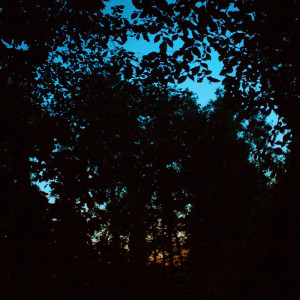 Dengarkan Tottenham lagu dari Draw dengan lirik