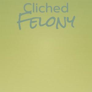 Various Artists的專輯Cliched Felony