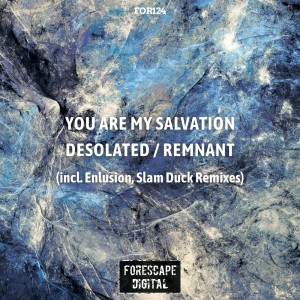 Listen to Desolated (Enlusion's Old Harbour Remix) song with lyrics from You Are My Salvation