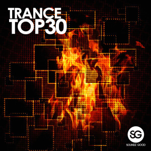 อัลบัม Trance Top30 ศิลปิน Various Artists