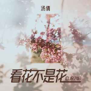 看花不是花(DJR7版)