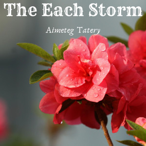 ดาวน์โหลดและฟังเพลง The Each Storm พร้อมเนื้อเพลงจาก Aimeteg Tatery