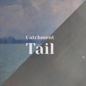 Album Catchment Tail oleh Various