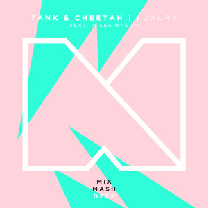 ดาวน์โหลดและฟังเพลง Luxury (Shelco Garcia & Teenwolf Extended Remix) พร้อมเนื้อเพลงจาก Tank & Cheetah