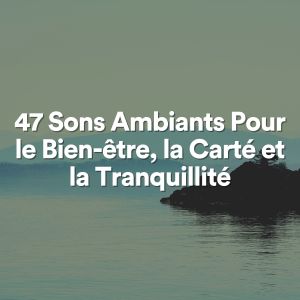 47 Sons Ambiants Pour le Bien-être, la Carté et la Tranquillité dari Multi-interprètes