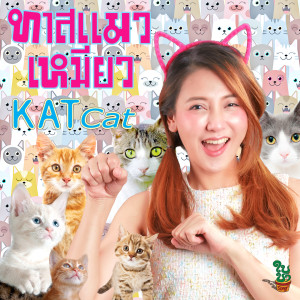 Listen to ทาสแมวเหมียว meaw meaw song with lyrics from KATcat