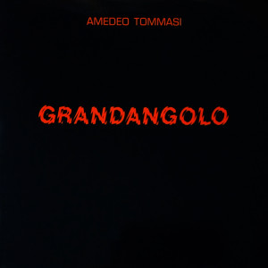 Amedeo Tommasi的專輯Grandangolo