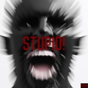 อัลบัม Stupid (feat. ChampionXiii) [Explicit] ศิลปิน Awry Crew