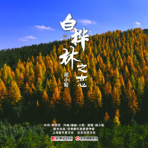 Listen to 白桦林之恋 song with lyrics from 胡小船