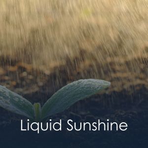 Album Liquid Sunshine oleh Rain Storm Sample Library