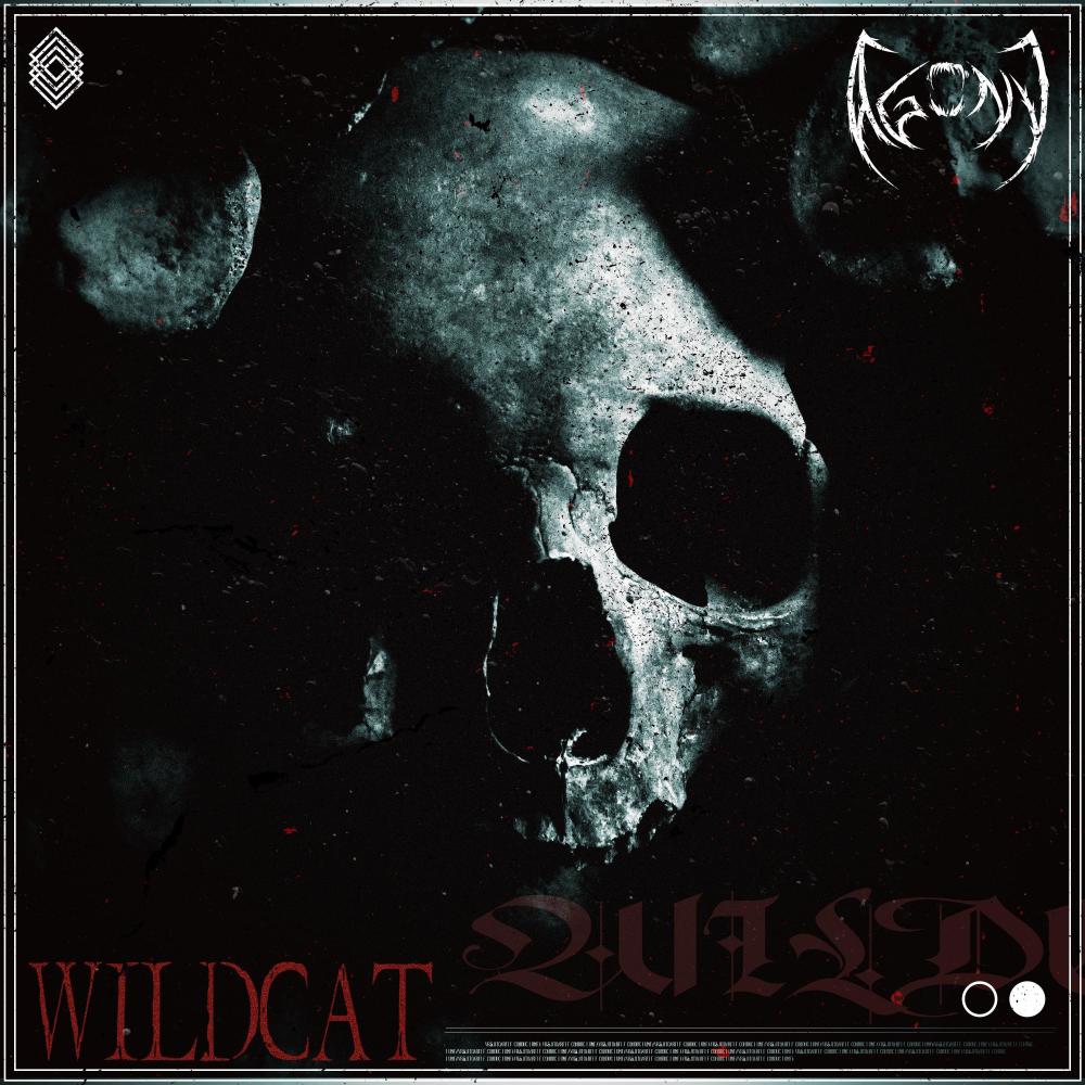Wildcat