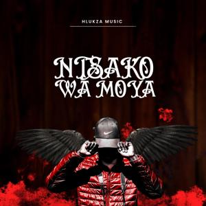 ดาวน์โหลดและฟังเพลง Ntsako Wa Moya (feat. Kailey Botman) พร้อมเนื้อเพลงจาก Hlukza music
