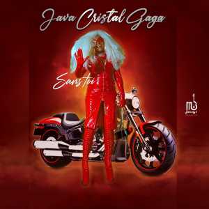 Album SANS TOI (Sans toi) from Java Cristal Gaga