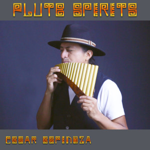 Listen to Waterfall song with lyrics from Cesar Espinoza
