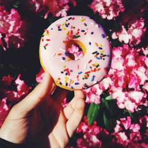 Album Donut from Uplink