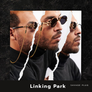 Album Linking Park from Savage Plug