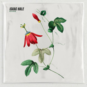Listen to Isaac Hale song with lyrics from Isaac Hale