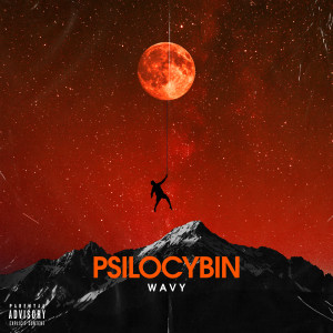 Album Psilocybin (Explicit) from Wavy