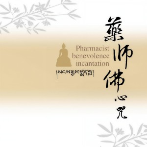 收聽王珺的藥師佛心咒 (美聲佛韻版 6)歌詞歌曲