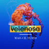 default album img