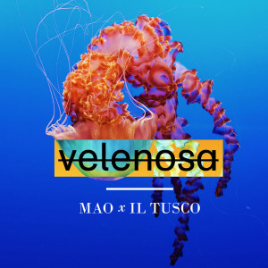 Listen to Velenosa song with lyrics from Il Tusco