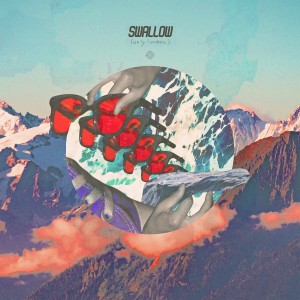 Listen to Swallow (Only Loveless) song with lyrics from Shirts Boy Frank