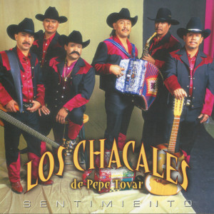 ดาวน์โหลดและฟังเพลง El Tejano พร้อมเนื้อเพลงจาก Los Chacales De Pepe Tovar
