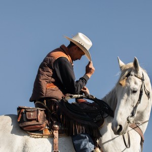 Listen to Galopping Cowboys song with lyrics from Rookes