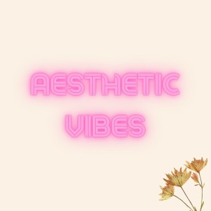 Listen to Aesthetic Vibes song with lyrics from Gaspar