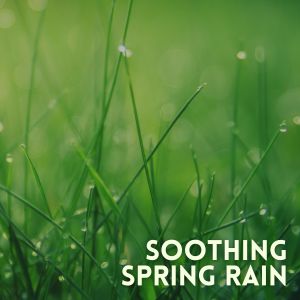 Album Soothing Spring Rain from Rainfall
