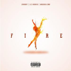 Listen to Fire (feat. Chaboy & Mackalizma) song with lyrics from Liz Harris
