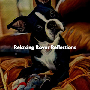 Album Relaxing Rover Reflections oleh Music For Dogs